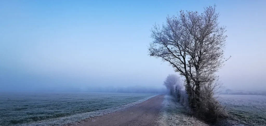 Chemin rural givré au lever du jour, illustration du bilan du défi courir 10 km par jour en décembre