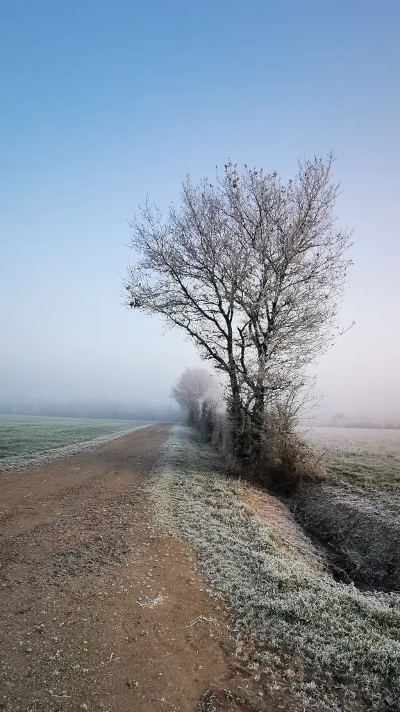 Chemin rural givré bordé d’arbres, symbole de la transition entre décembre et janvier dans le défi courir 10 km par jour